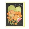 Citrus Fruits Holiday Set